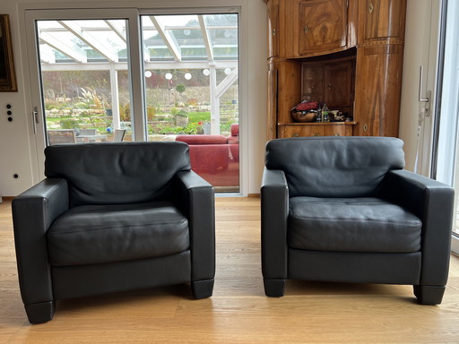 Set of 2 armchairs by de Sede DS 17