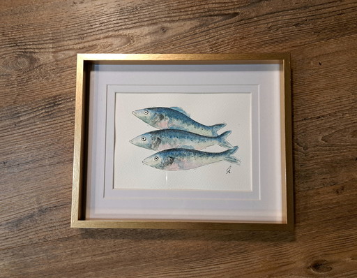 Watercolor painting Three Sardines