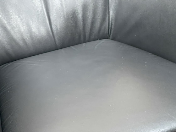 Image 1 of Montis Windy Negro