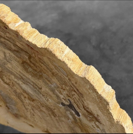 Image 1 of Madera fosilizada de Sooka, soporte hecho a medida (nuevo)