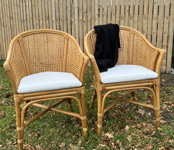 Image 1 of Due sedili avvolgenti in fettuccia e bambù