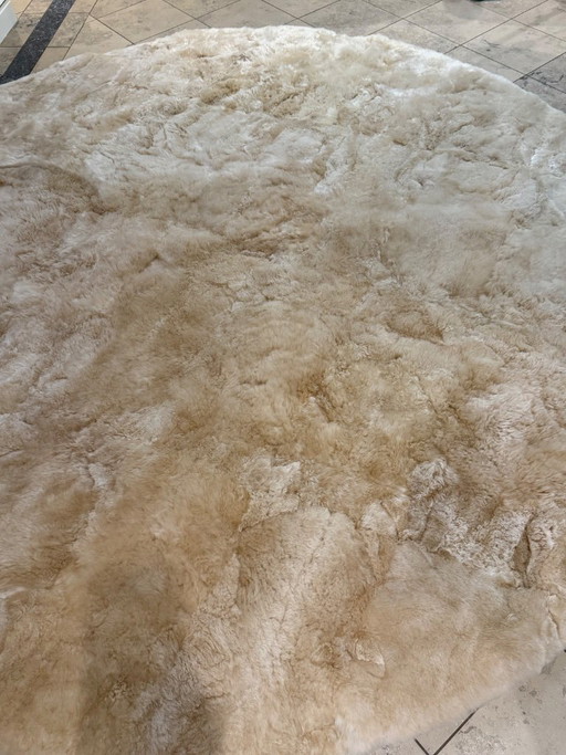 Alpaka Teppich Edwin rund 250 cm Champagner neuwertig Weich Couture   
