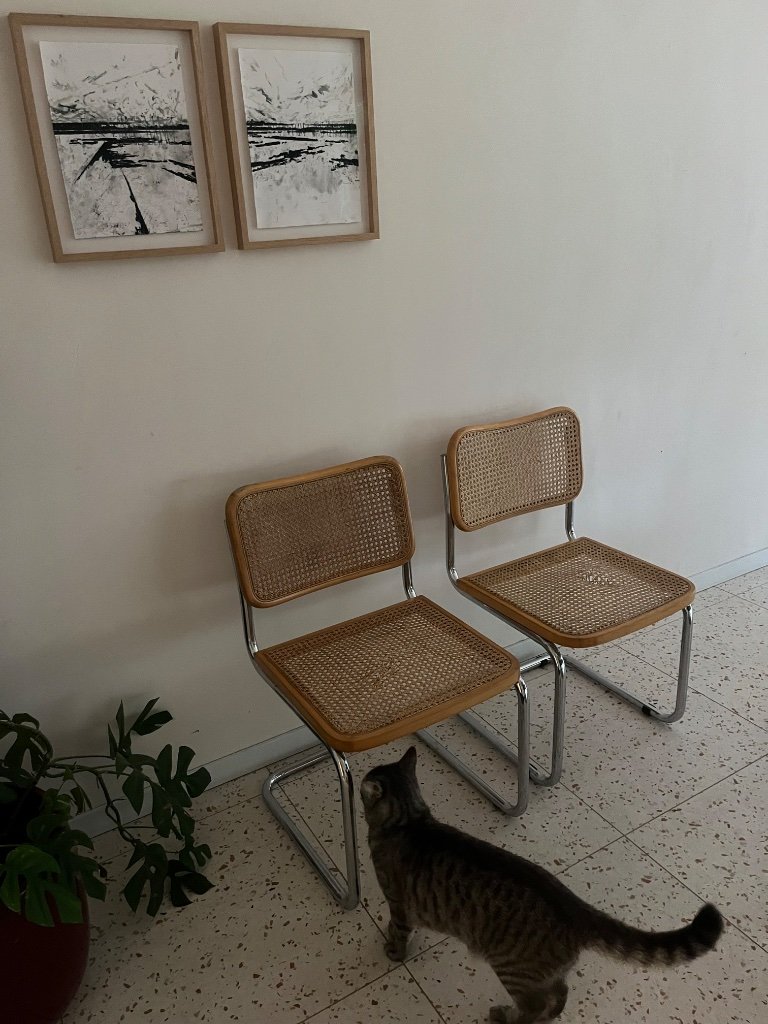 2x Ikea 90s Nordisk chairs | Whoppah