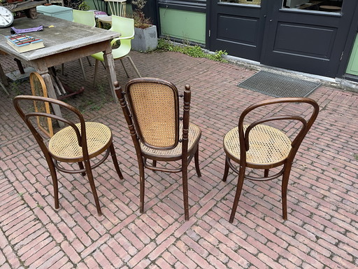 Chaises Thonet avec sangles.  3 pièces