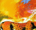 Carlos Blaaker - Cheetah