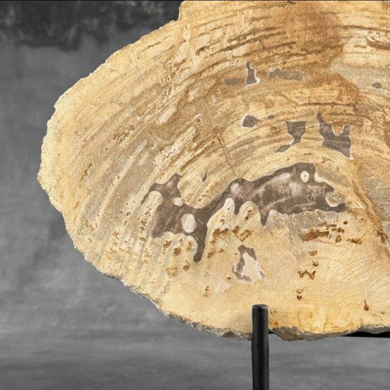 Image 1 of Madera fosilizada de Sooka, soporte hecho a medida (nuevo)
