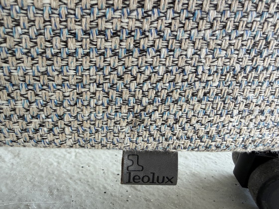 Image 1 of Sedie Leolux Tamarind con schienale regolabile