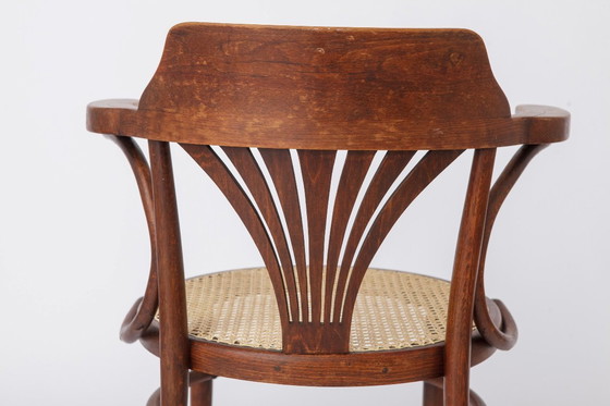 Image 1 of Vintage Bentwood Chair by Fischel Austria 1940s-1950s | Restored Beech Wood & New Rattan Seat | Desk or Dining Chair