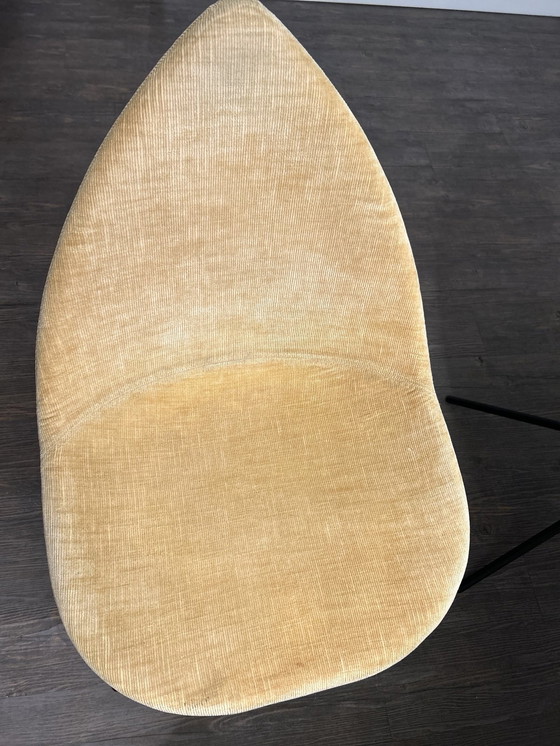 Image 1 of 6 sedie Bo Concept Ottawa, gialle