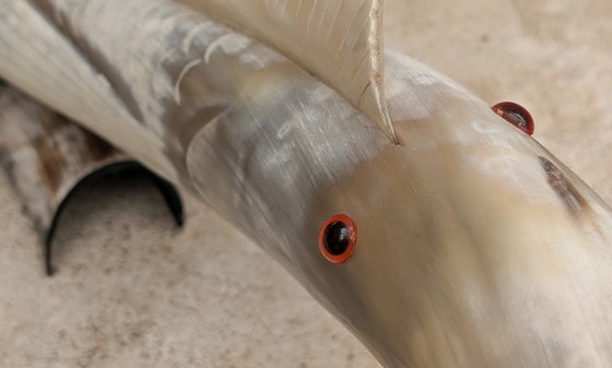 Image 1 of Grote vis creatie in buffelhoorn.