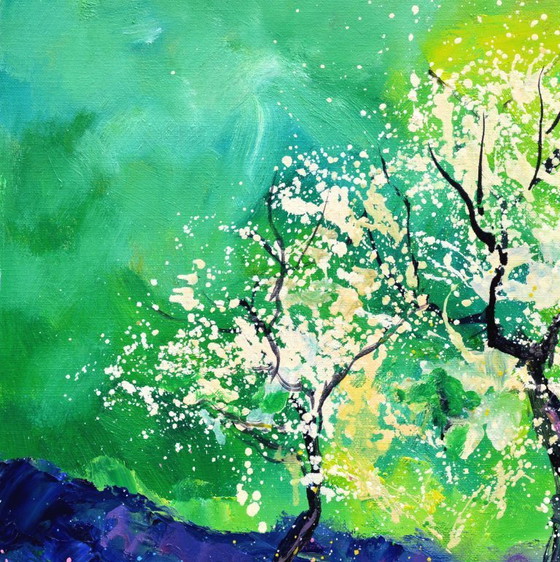 Image 1 of apple tree in blossom