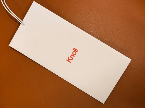 Image 1 of Sedia Knoll Warren Platner - Pelle Volo Cognac