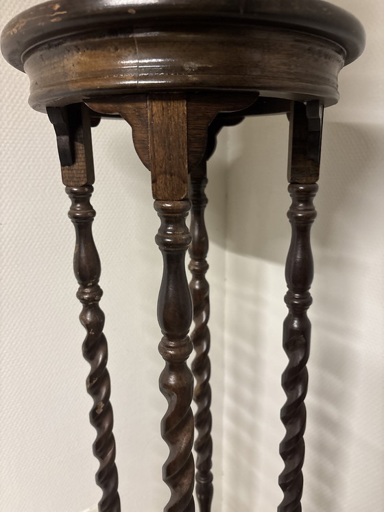 Image 1 of Vintage plantentafel