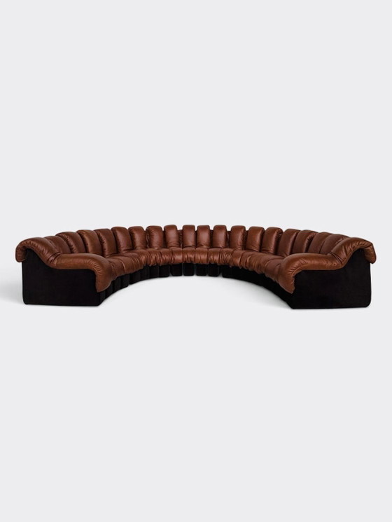 De Sede Ds600 Snake en cuir Cognac, 20 éléments, Canapés modulables, Textile, Marron (photo 3 sur 15)