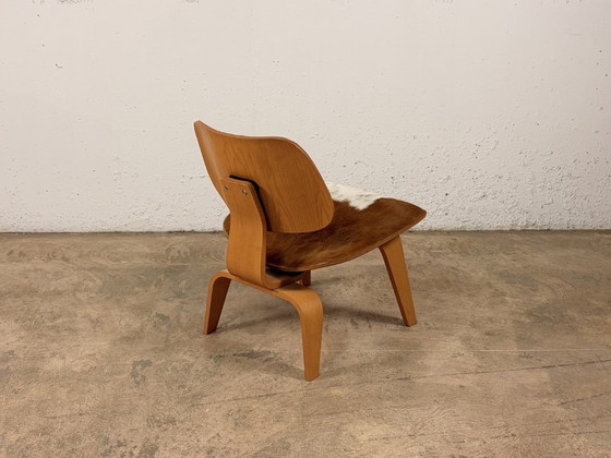 Image 1 of Eames Plywood Group LCW-stoel voor Vitra, ontworpen door Charles & Ray Eames, jaren 2000.
