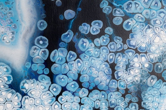 Image 1 of Flor de hielo