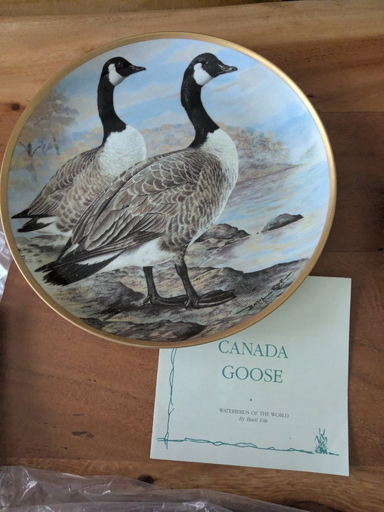 Image 1 of Basil Ede Oiseaux d'eau du monde, ensemble de 12 pièces avec système de suspension