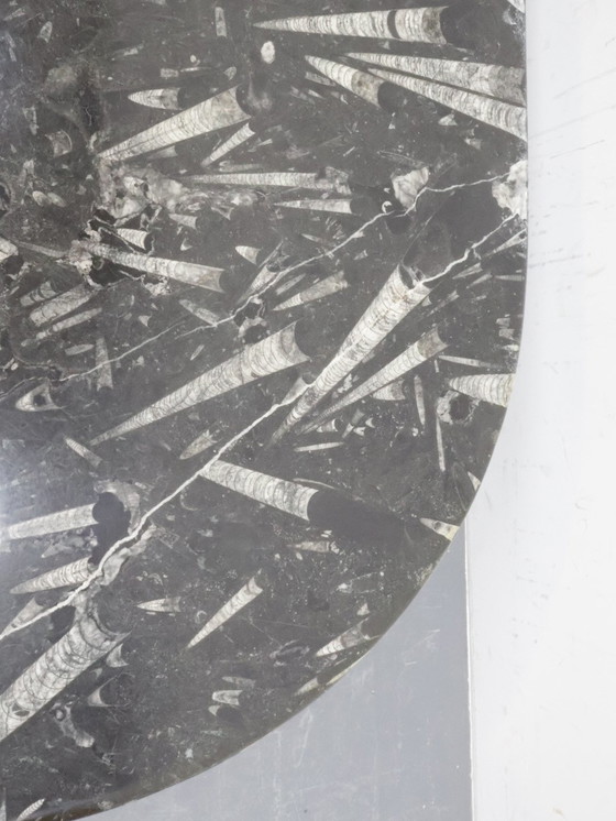 Image 1 of Fossil Marble Coffee Table