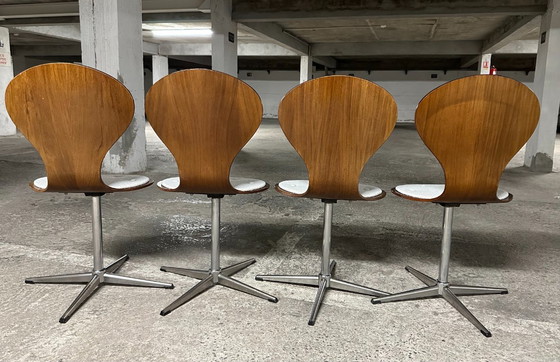 Image 1 of Set di 4 sedie vintage in legno curvato e impiallacciato in palissandro di Elmar Flötotto, Germania 1960