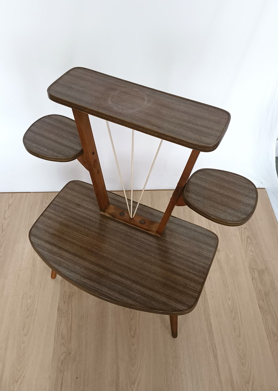 Image 1 of Mesa para plantas de 4 niveles de los años 50 