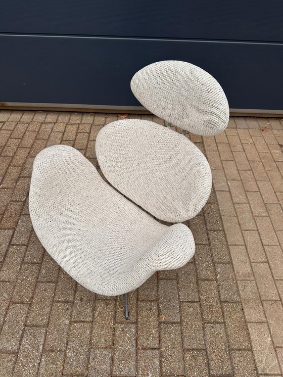 Image 1 of Artifort Big Tulip 1ª Edición 1958 Pierre Paulin, ¡¡¡Impecable estado nuevo!!!