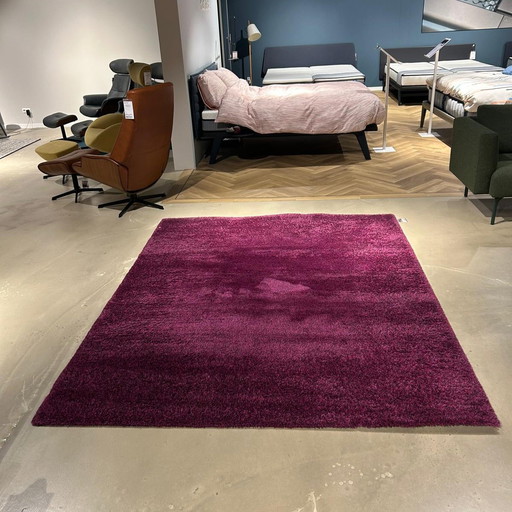 Millenerpoort Bella Basso 25 Teppich – 200 x 250