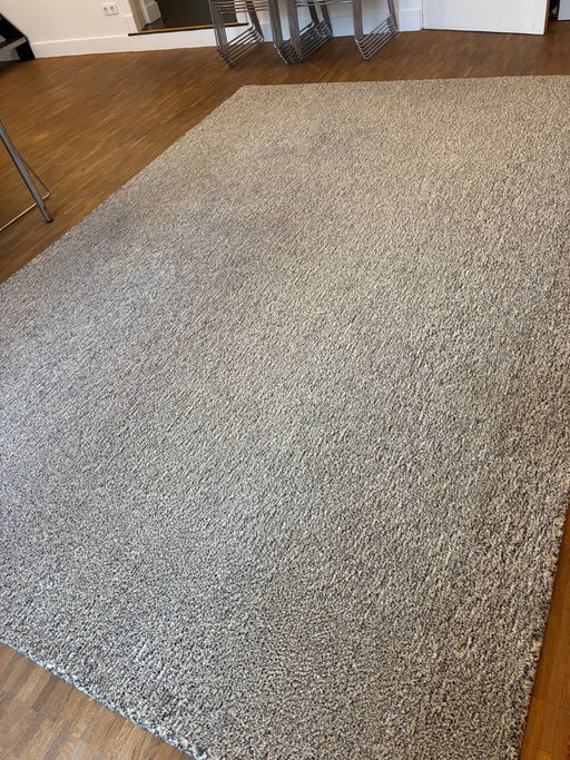 Millenerpoort wool carpet