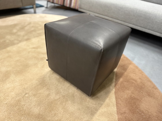 Image 1 of Sgabello Eyye Kub 42 Loxton in pelle Cliff