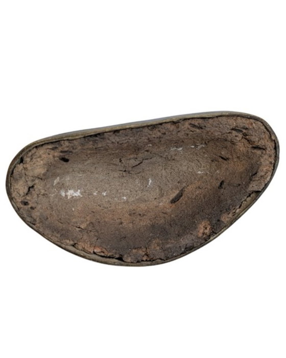 Zittende Boeddha van verguld brons – Ayutthaya-Rattanakosin-overgang – Beeldhouwkunst, Bronze, Gold (photo 9 of 9)