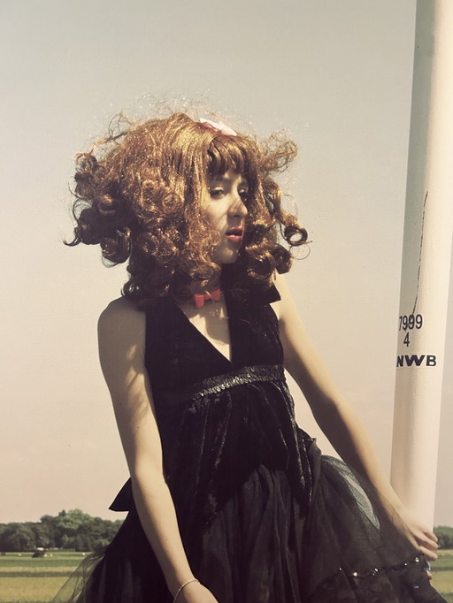 Kunstwerk: aluminium foto 76x136 cm