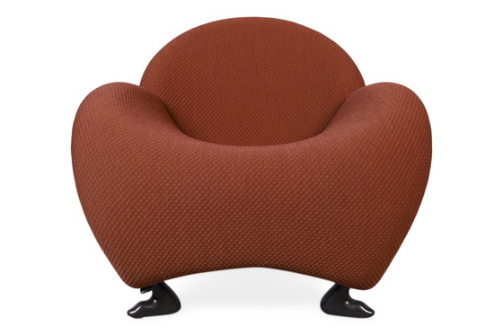Image 1 of Leolux Papageno fauteuil