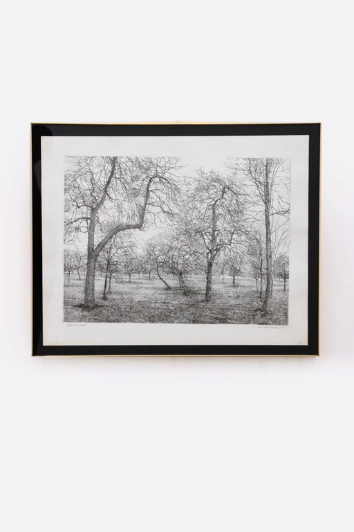 Jos Hameleers Beautiful etching by Jos Hameleers 1948 Honthem