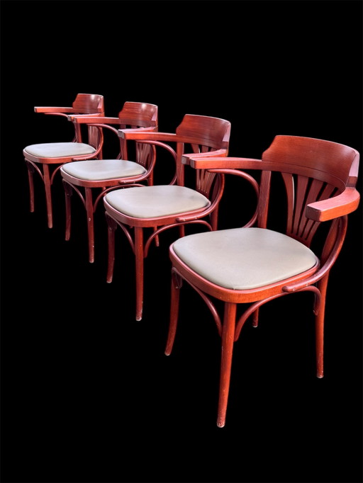 Raro set di 4 sedie Thonet Bentwoud di metà secolo