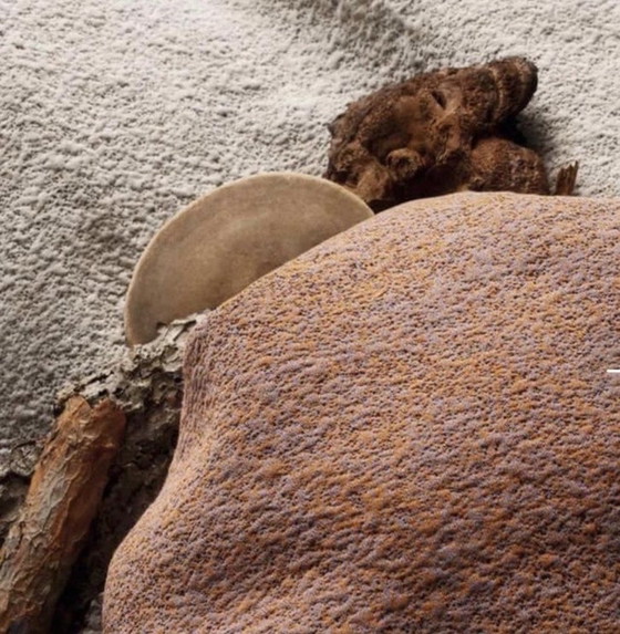 Image 1 of Sofá de salón Leolux Pode Tweak NUEVO