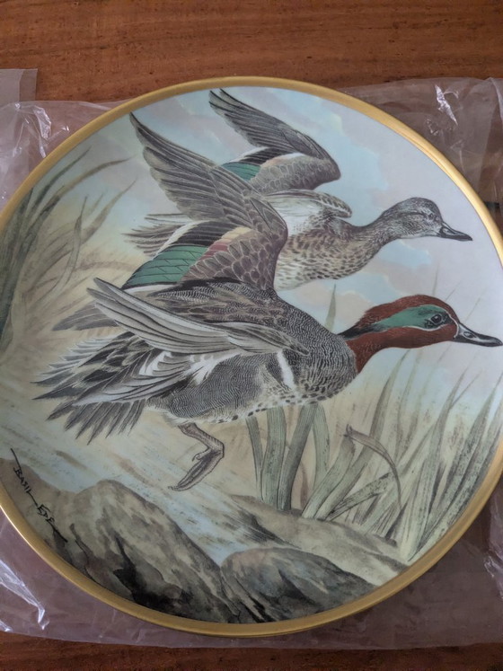 Image 1 of Basil Ede Oiseaux d'eau du monde, ensemble de 12 pièces avec système de suspension
