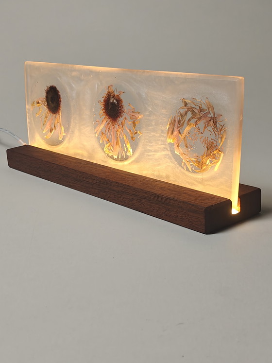 Image 1 of Floral Light I — The Quiet Season (Transition)