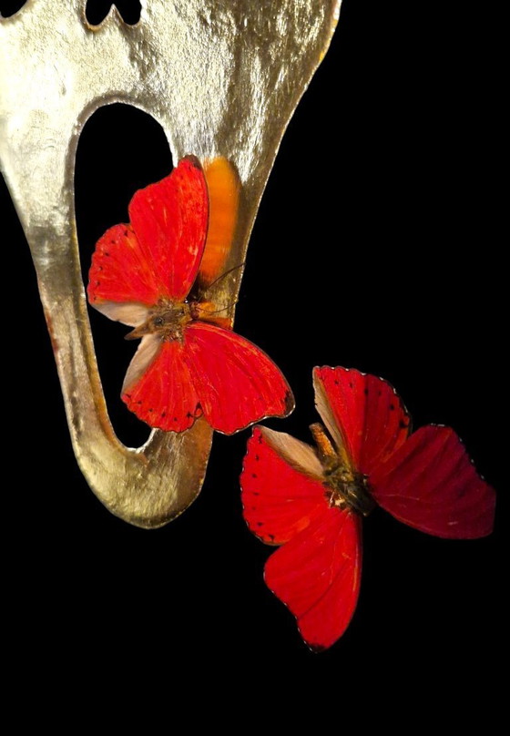 Image 1 of Véritables papillons sur or 23 carats Masque Scream taxidermie œuvre d'art dans un cadre