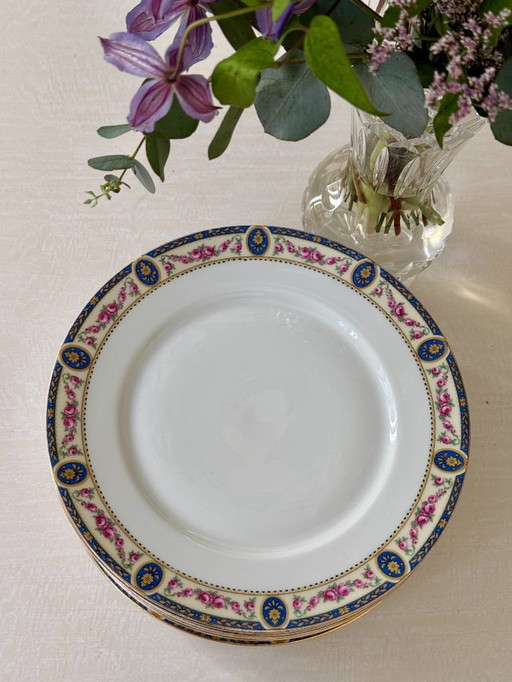 Set van 7 Limoges porseleinen borden, Frankrijk