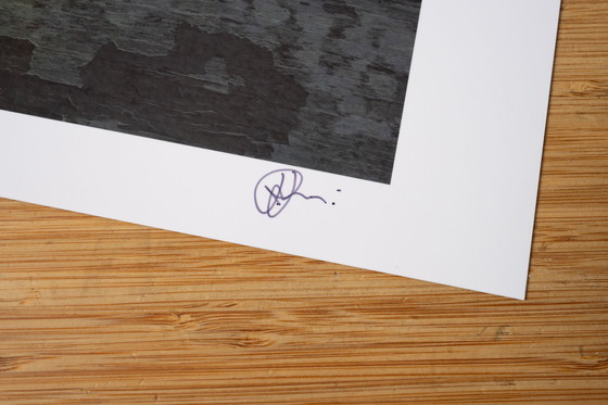 Image 1 of Poder de las flores I