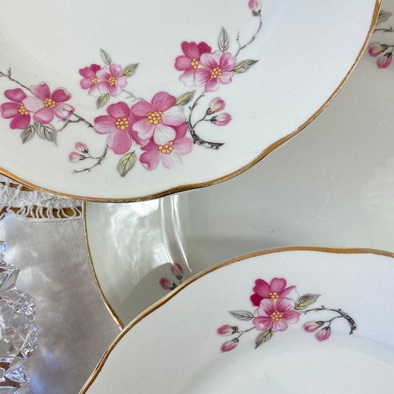 Image 1 of Royal Tognana Italy Antique Porcelain Dessert Plate Set of 9 Plates