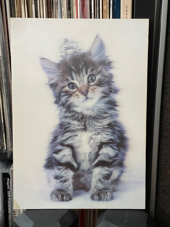 Impresión lenticular, Gatito, Multicolor, Láminas artísticas, 1990 (foto 11 de 11)