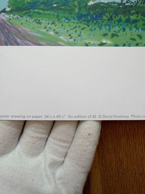 David Hockney (1937-2026), Ciel d'été, 2008, © David Hockney, Imprimé au Royaume-Uni – Tirages d'art, Paper (photo 7 of 11)