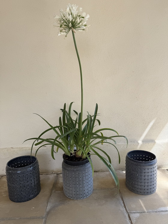 Image 1 of Pot cover vintage tole emaillee perforée 50s design tolix jieldé loft