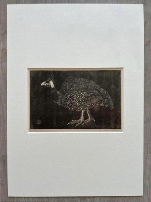 Jan Mankes 1889-1920 / Heliograbado original Gallina de Guinea 1923