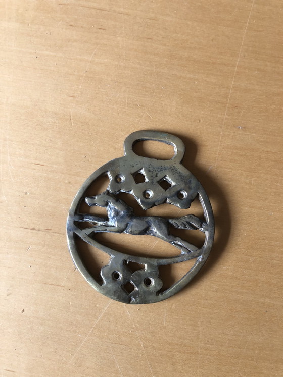 Image 1 of Paarden brasses