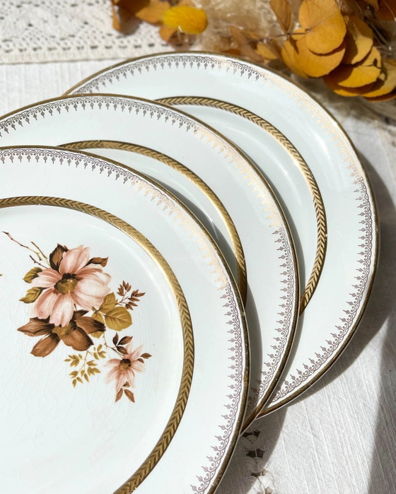 5 Pequeños Platos de Porcelana OLYMPIA con Patrón Floral y Borde Dorado – Loza, Porcelain, Gold, Vintage (photo 2 of 9)