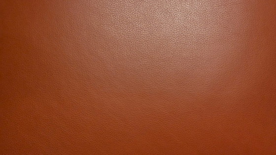 Image 1 of Fauteuil en terre cuite de rassemblement