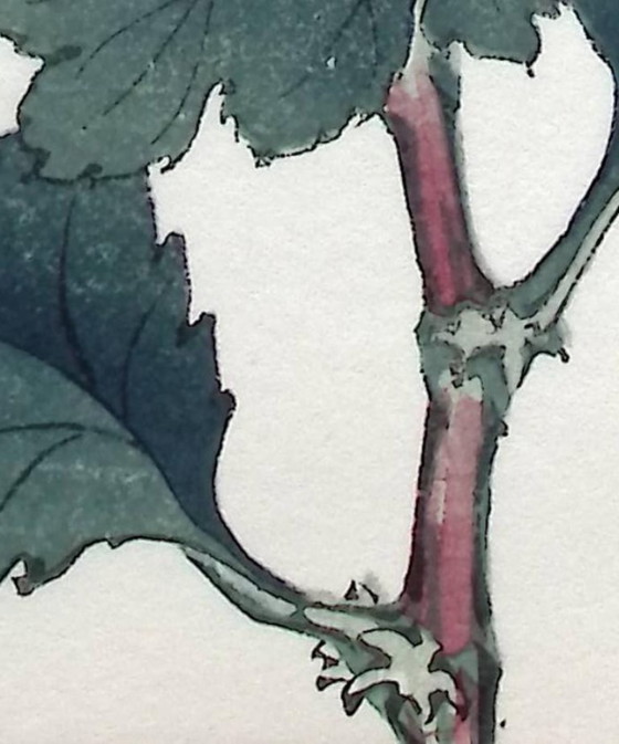 Keika Hasegawa - "One Hundred Chrysanthemums" – Paintings & Drawings, Paper (photo 8 of 8)