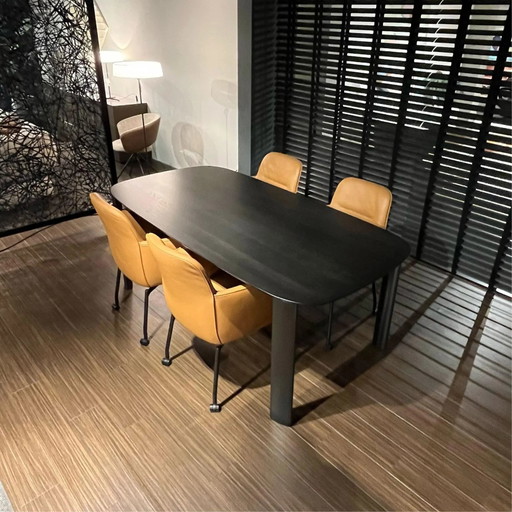 Leolux Gyon en Tico Gentle eetkamerset 200 x 100 cm (set van 4)