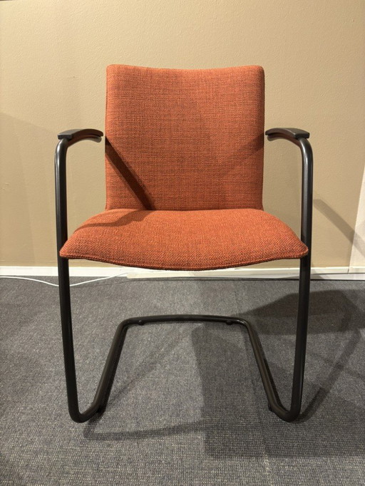 Leolux Freyr Esszimmerstuhl (4er-Set)